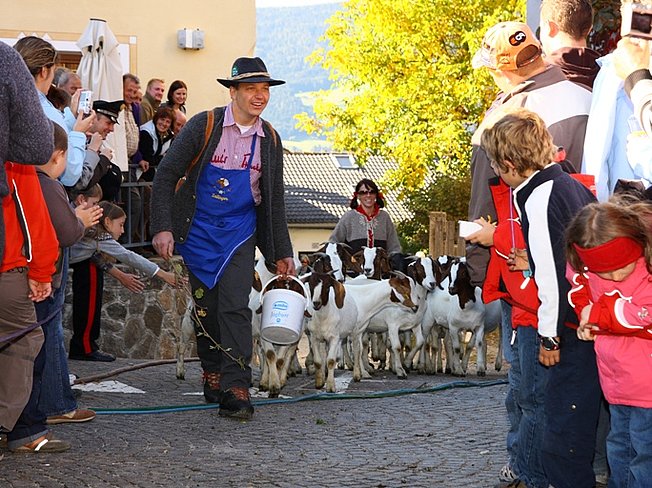 Transhumance in Laion